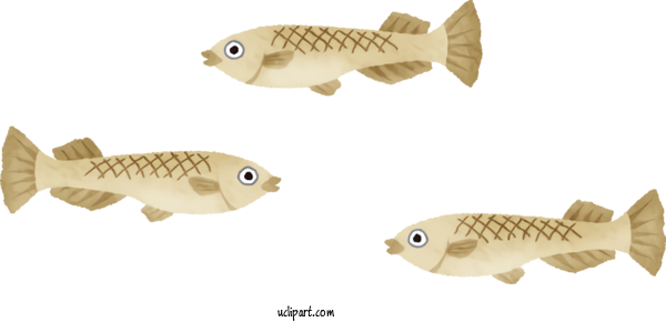 Free Animals Fish Bony Fishes Fish Fin For Fish Clipart Transparent Background