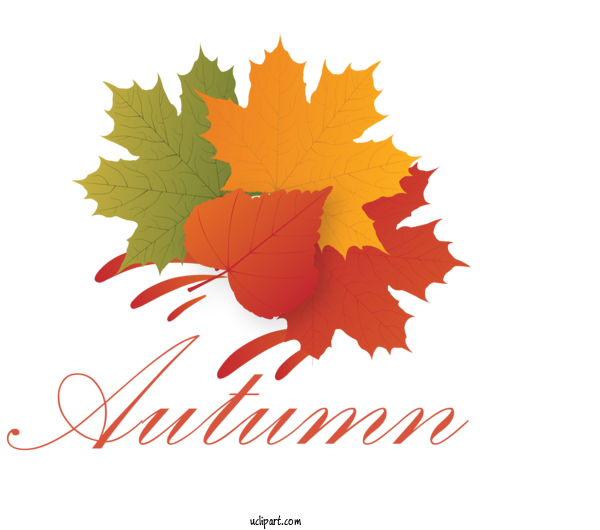 Free Nature Maple Leaf American Senior Benefits, LLC Meter For Autumn Clipart Transparent Background