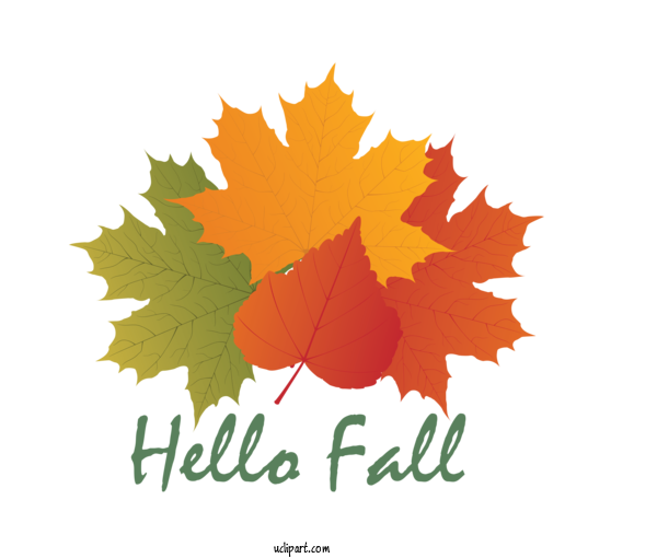 Free Nature Maple Leaf Leaf Meter For Autumn Clipart Transparent Background