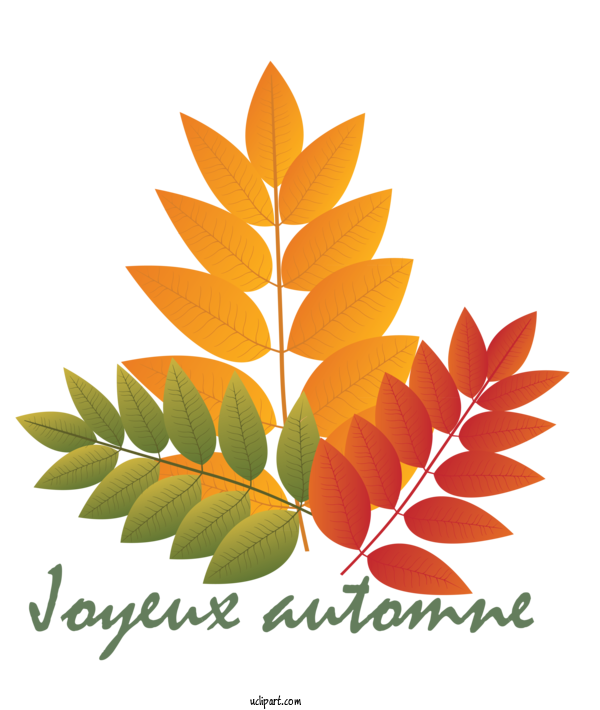 Free Nature Leaf Autumn Tree For Autumn Clipart Transparent Background
