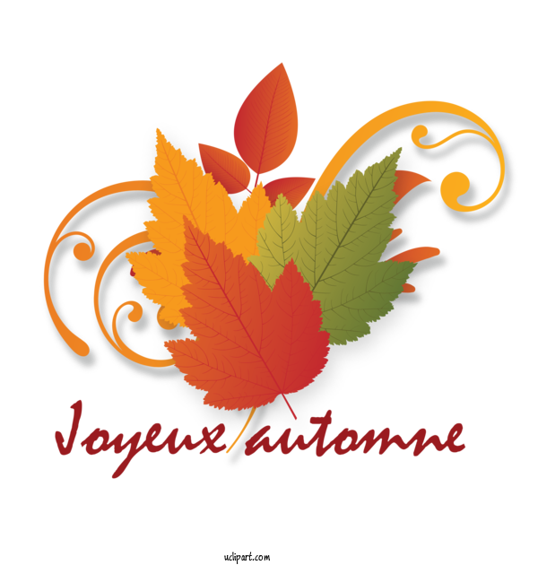 Free Nature Logo Maple Leaf Font For Autumn Clipart Transparent Background