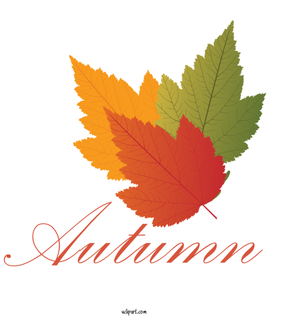 Free Nature Maple Leaf Logo Font For Autumn Clipart Transparent Background