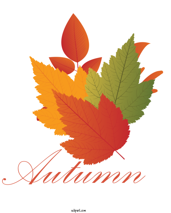 Free Nature Maple Leaf Leaf Autumn For Autumn Clipart Transparent Background