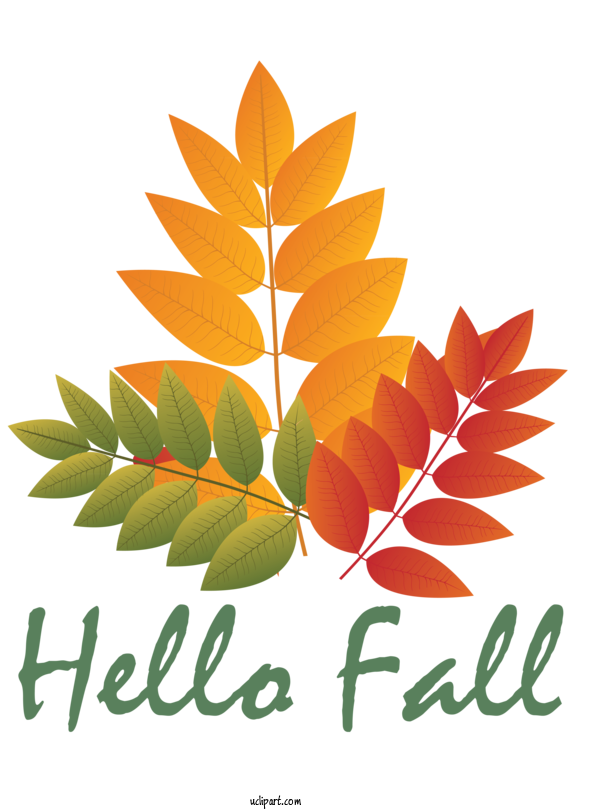 Free Nature Leaf Autumn Deciduous For Autumn Clipart Transparent Background