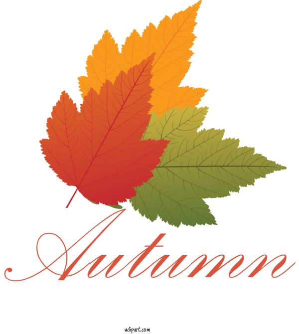 Free Nature Maple Leaf Saying American Senior Benefits, LLC For Autumn Clipart Transparent Background