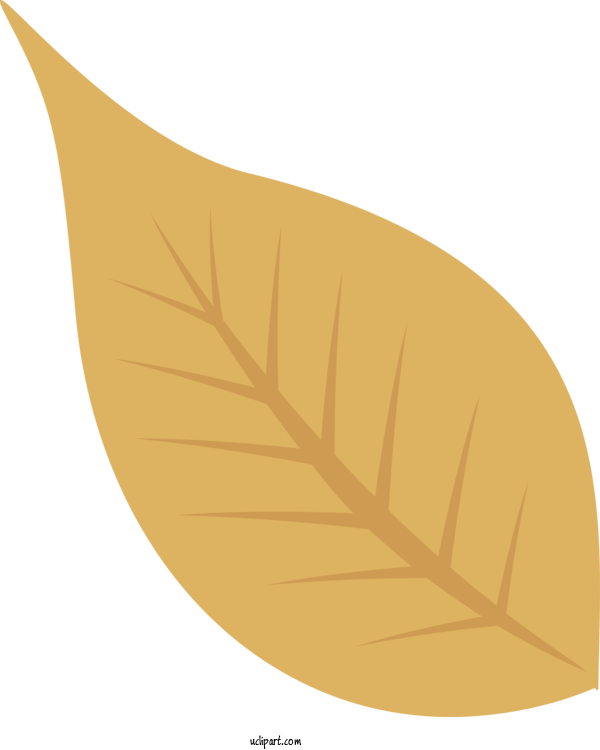 Free Nature Leaf Angle Line For Leaf Clipart Transparent Background