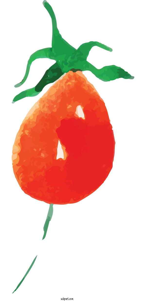 Free Nature Tomato Mandarin Orange Tangerine For Leaf Clipart Transparent Background
