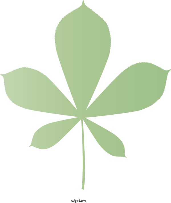 Free Nature Leaf Plant Stem Shamrock For Leaf Clipart Transparent Background
