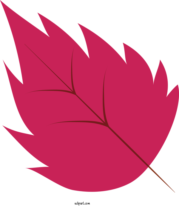 Free Nature Maple Leaf Leaf Symmetry For Leaf Clipart Transparent Background