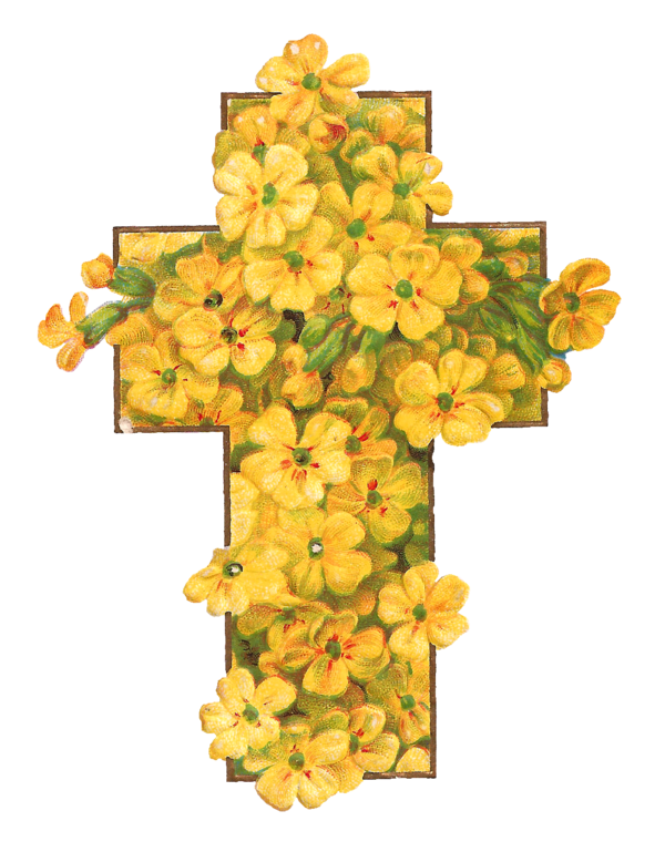 Free Flower Clipart Flower Cut Flowers Cross Clipart Clipart Transparent Background