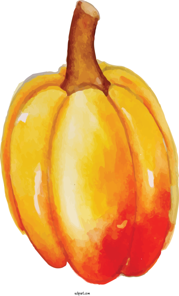 Free Nature Pumpkin Winter Squash Gourd For Autumn Clipart Transparent Background