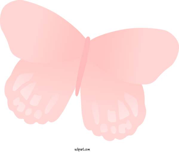 Free Animals Cartoon Butterflies Logo For Butterfly Clipart Transparent Background