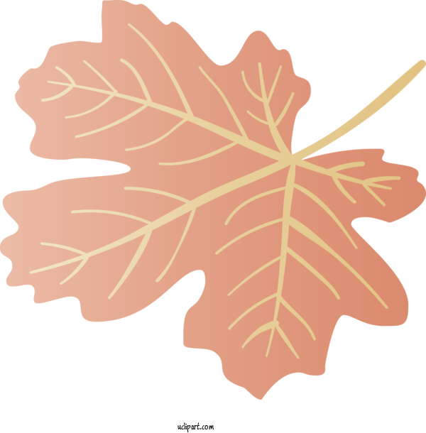 Free Nature Maple Leaf Leaf Line For Autumn Clipart Transparent Background