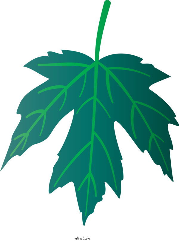 Free Nature Maple Leaf Plant Stem Leaf For Autumn Clipart Transparent Background