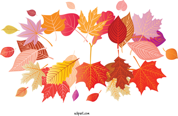 Free Nature Floral Design Leaf Pattern For Autumn Clipart Transparent Background