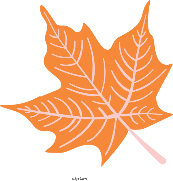 Free Nature Leaf Flower Pattern For Autumn Clipart Transparent Background
