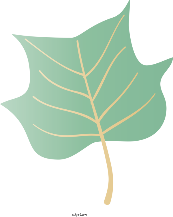 Free Nature Leaf Plant Stem Meter For Autumn Clipart Transparent Background