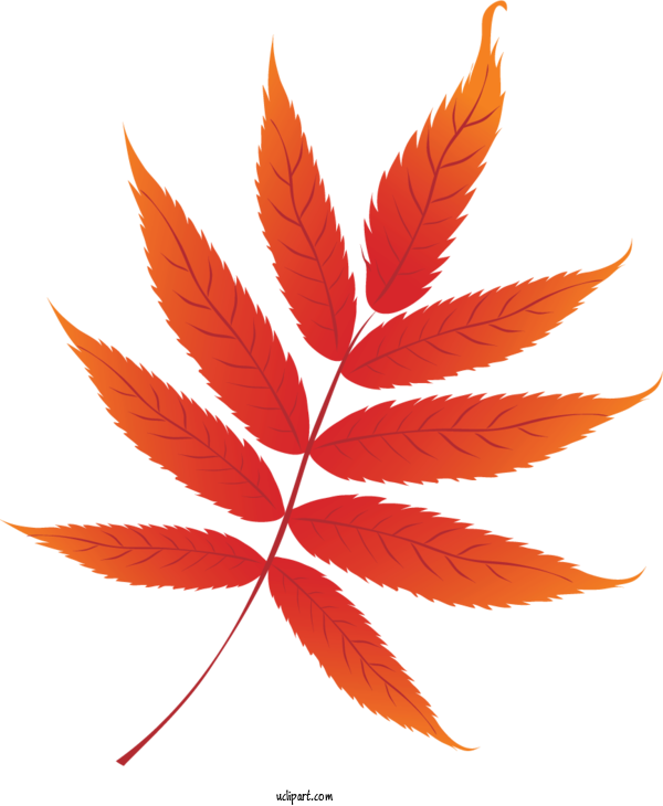 Free Nature Design Drawing Leaf For Leaf Clipart Transparent Background