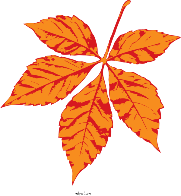 Free Nature Maple Leaf Leaf Cartoon For Leaf Clipart Transparent Background