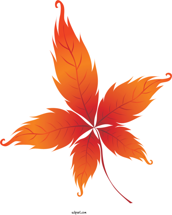 Free Nature Autumn Autumn Leaf Color Maple Leaf For Leaf Clipart Transparent Background