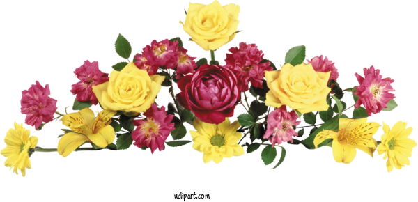 Free Flowers Garden Roses Floral Design Cut Flowers For Flower Clipart Clipart Transparent Background