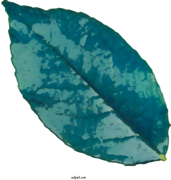 Free Nature Turquoise Water For Leaf Clipart Transparent Background