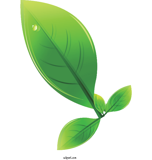 Free Nature Leaf Green Design For Leaf Clipart Transparent Background