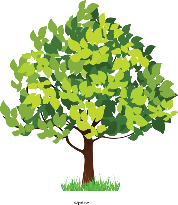 Free Nature Four Seasons Hotels And Resorts  Hotel For Tree Clipart Transparent Background