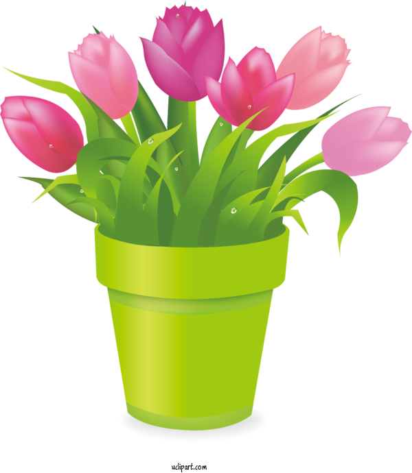Free Flowers Flowerpot Tulip Flower For Flower Clipart Clipart Transparent Background