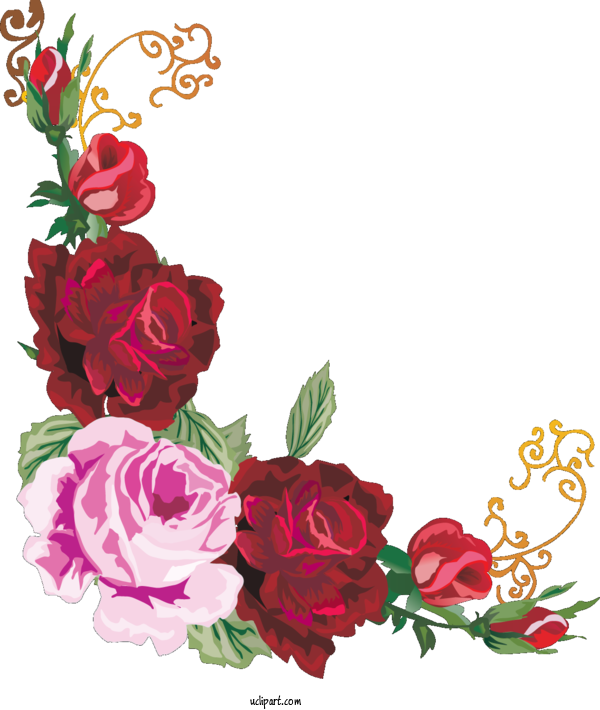 Free Flowers Floral Design Design Flower For Flower Clipart Clipart Transparent Background