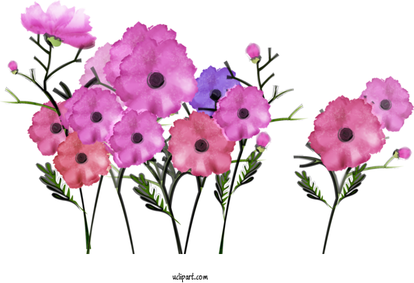 Free Flowers Yumachi Community Center  Ni For Flower Clipart Clipart Transparent Background
