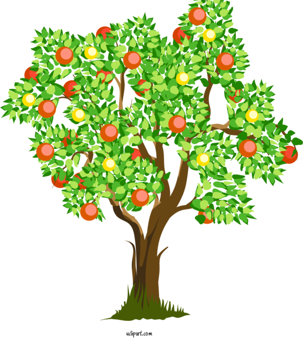 Free Nature Occupational Therapy Occupational Therapist American Occupational Therapy Association For Tree Clipart Transparent Background