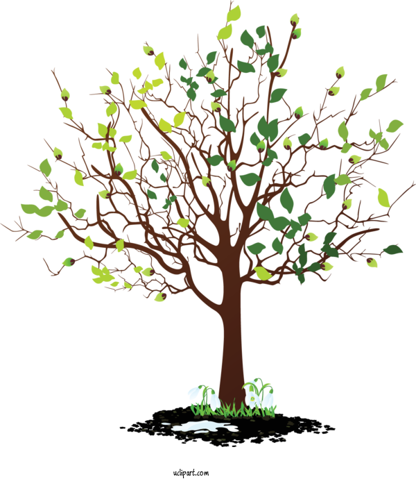 Free Nature Transparency Family Tree For Tree Clipart Transparent Background