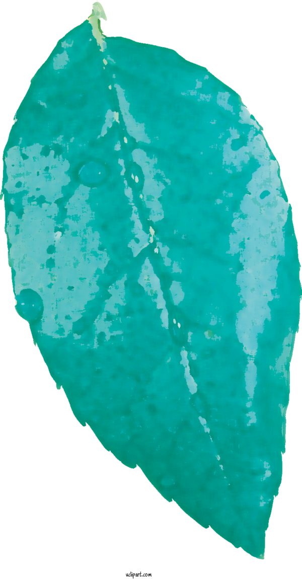 Free Nature Leaf Green Turquoise For Leaf Clipart Transparent Background