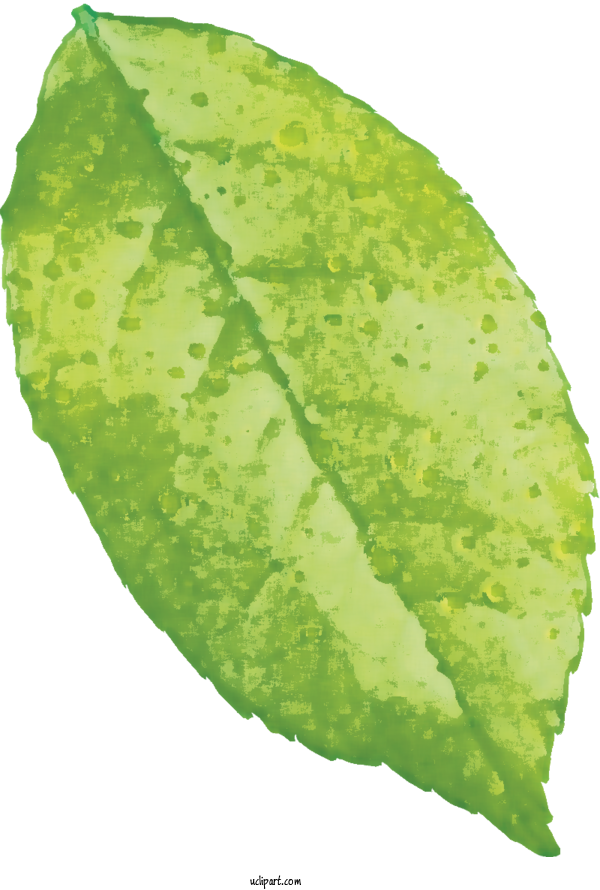 Free Nature Leaf Leaf Vegetable Design For Leaf Clipart Transparent Background