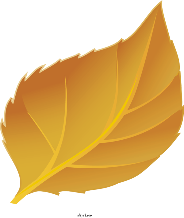 Free Nature Leaf Tea Vein For Leaf Clipart Transparent Background
