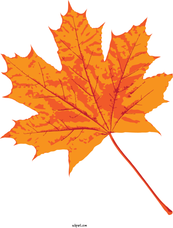 Free Nature Maple Leaf Leaf For Leaf Clipart Transparent Background