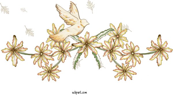 Free Flowers Drawing Flower Painting For Flower Clipart Clipart Transparent Background
