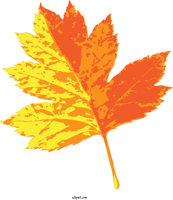 Free Nature Maple Leaf Leaf Design For Leaf Clipart Transparent Background
