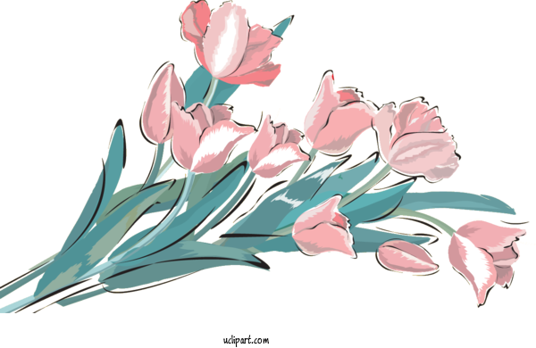 Free Flowers	 International Women's Day March 8 Holiday For Flower Clipart Clipart Transparent Background