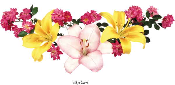 Free Flowers Still Life: Pink Roses Flower Design For Flower Clipart Clipart Transparent Background