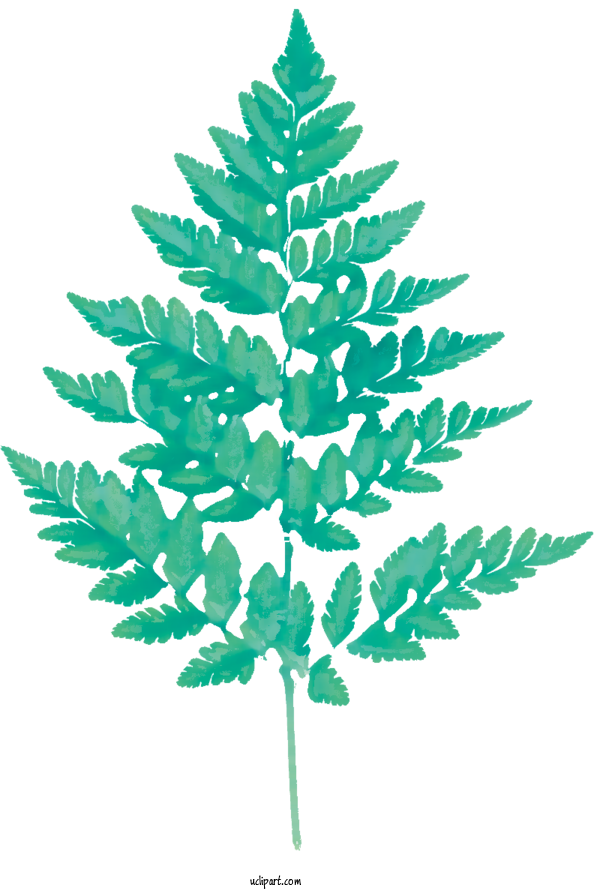 Free Nature Fern Watercolor Painting Painting For Leaf Clipart Transparent Background