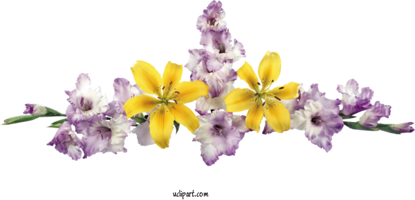 Free Flowers Floral Design Flower Cut Flowers For Flower Clipart Clipart Transparent Background