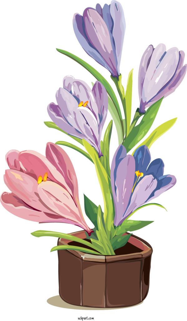Free Flowers Watercolor Painting Gouache Flower For Flower Clipart Clipart Transparent Background