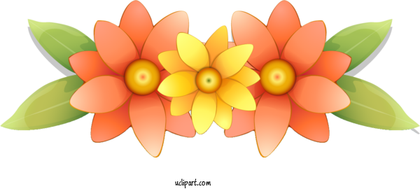 Free Flowers Flower Drawing Maize For Flower Clipart Clipart Transparent Background