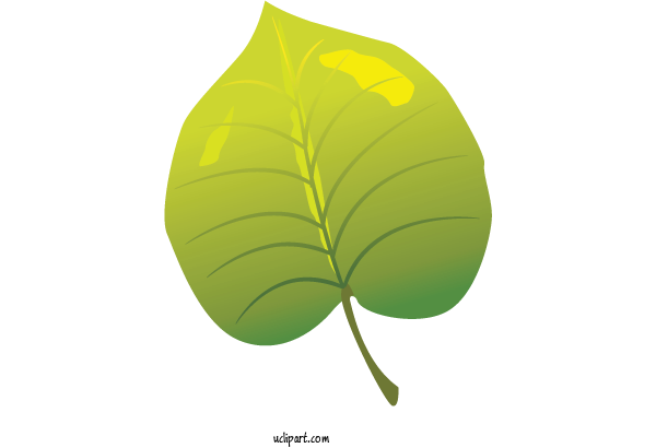 Free Nature Leaf Plant Stem Green For Leaf Clipart Transparent Background