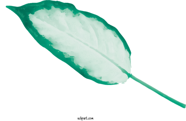 Free Nature Leaf Green Design For Leaf Clipart Transparent Background