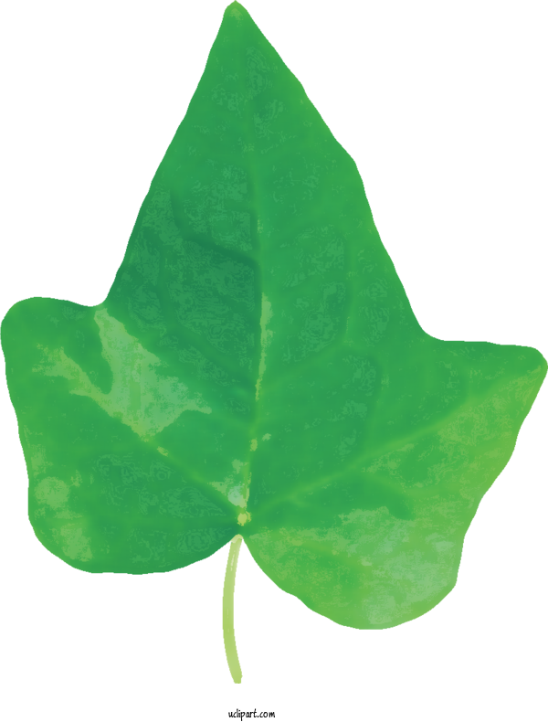 Free Nature Leaf Green Science For Leaf Clipart Transparent Background