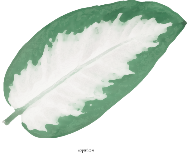 Free Nature Leaf Leaf Vegetable Watermelon For Leaf Clipart Transparent Background