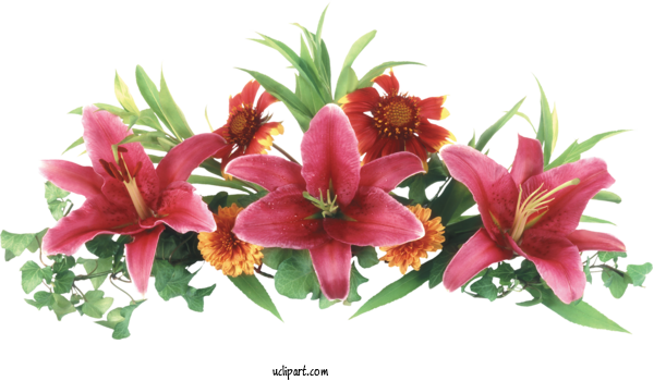 Free Flowers Vignette Watercolor Painting Flower For Flower Clipart Clipart Transparent Background